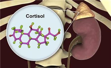 چگونه کورتیزول را کاهش دهیم؟ ۱۰ روش طبیعی و موثر
