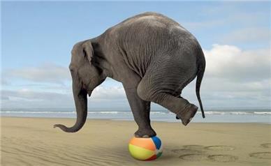 راهی طبیعی برای توازن بدن و ذهن