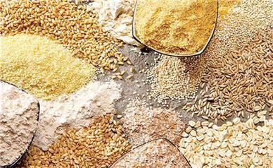 قیمت انواع محصولات کشاورزی امروز شنبه ۱۵ آذر ۱۴۰۴