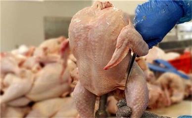 قیمت جدید انواع گوشت مرغ امروز سه‌شنبه ۱۸ آذر ۱۴۰۴