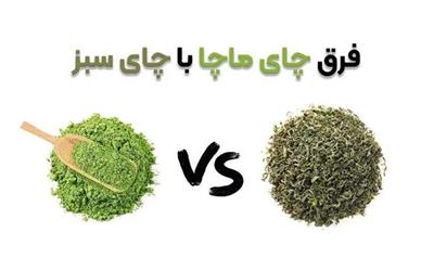 تفاوت‌های اصلی چای ماچا و چای سبز؛ کدام مفیدتر است؟