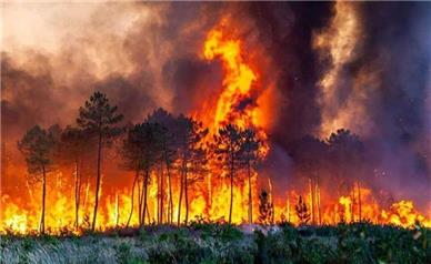 استاندار مازندران خبر داد: مهار آتش الیت با ۱۱۵ عملیات بالگردها و ۱۳ پرواز ایلیوشین