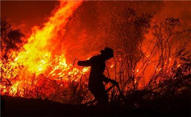 آلاینده در جان ؛ آتش در جنگل‌