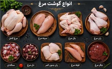 قیمت جدید مرغ و تخم‌مرغ امروز ۱ شهریور ۱۴۰۵؛ نرخ ران، سینه و فیله اعلام شد