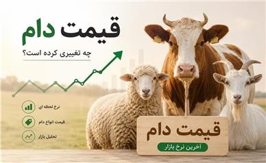 قیمت دام زنده امروز سه‌شنبه ۲۷ مرداد ۱۴۰۵