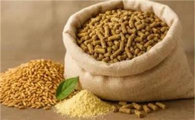 قیمت جدید انواع نهاده های دامی امروز دوشنبه 26 مرداد 1405 + جدول
