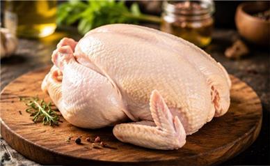 قیمت جدید مرغ و تخم‌مرغ امروز ۲۶ مرداد ۱۴۰۵