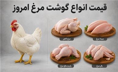 قیمت مرغ امروز سه‌شنبه ۷ مهر ۱۴۰۵؛ مرغ امروز کیلویی چند شد؟