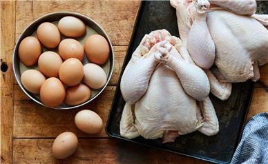 قیمت مرغ و تخم مرغ امروز چهارشنبه ۱۱ شهریور ۱۴۰۵