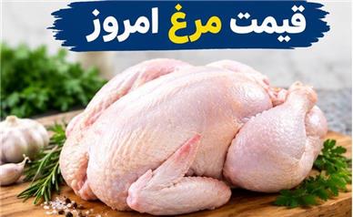 قیمت جدید مرغ امروز شنبه ۲۱ شهریور ۱۴۰۵؛ مرغ امروز گران شد یا ارزان؟