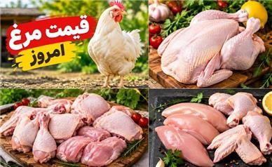 قیمت جدید مرغ، فیله، ران، سینه امروز چهارشنبه ۲۵ شهریور ۱۴۰۵