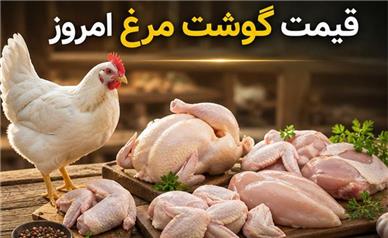 قیمت مرغ امروز دوشنبه ۳۰ شهریور ۱۴۰۵؛ مرغ کامل کیلویی چند؟