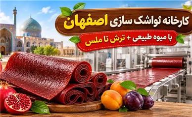 کارخانه لواشک سازی اصفهان: با میوه طبیعی + ترش تا ملس