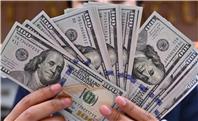 قیمت دلار امروز یکشنبه ۱۶ آذر ۱۴۰۴؛ دلار آزاد چند شد؟