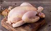 قیمت مرغ ظهر یکشنبه ۱۶ آذر ۱۴۰۴