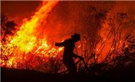 آلاینده در جان ؛ آتش در جنگل‌
