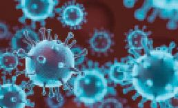 گمانه‌زنی جدید درباره منبع اصلی ویروس کرونا