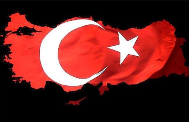 ترکیه با تعامل با دنیا وکسب درآمد بحران ها را حل می‌کند