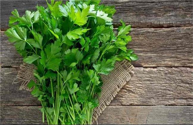 همه خواص سبزی جعفری