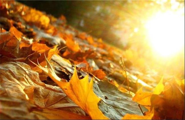 پاکسازی شهریور برای شروع پاییز