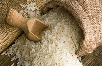 خسارت جبران ناپذیر واردات برنج به کشاورزان