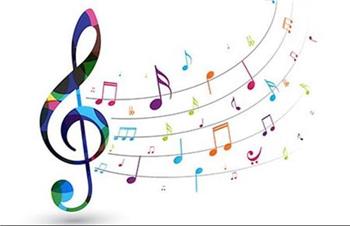 راز پرندگان