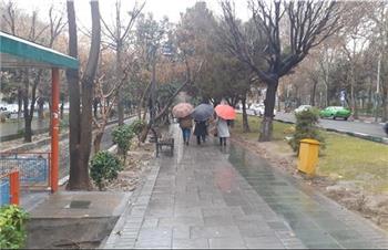 گزارش تصویری از بارش باران در تهران/ 3 دی ماه 1401