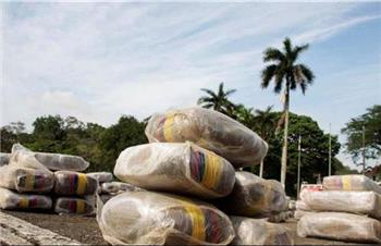 پاناما برای دومین سال متوالی رکورددار کشف مواد مخدر شد