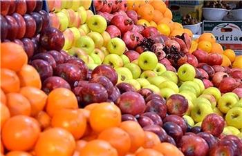 رییس اتحادیه بارفروشان: ۲۰ درصد مردم توان خرید میوه را ندارند