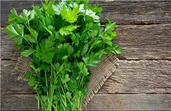 همه خواص سبزی جعفری