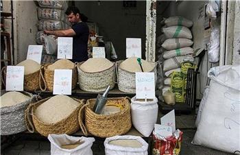 قیمت انواع برنج ایرانی