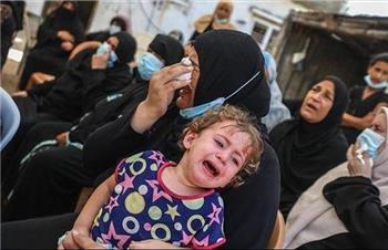 نیاز 1.6 میلیون نفر در غزه به کمک فوری