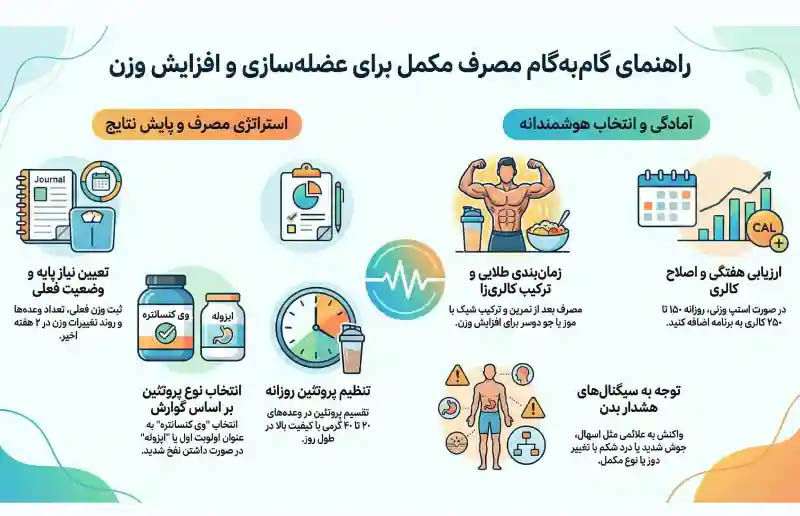 بهترین نوع پروتئین برای وزن‌گیری