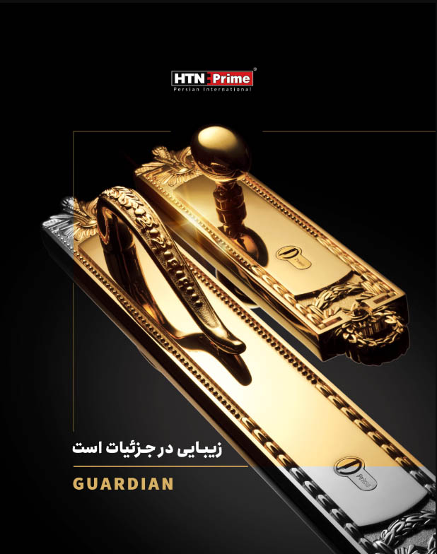 دستگیره ورودی